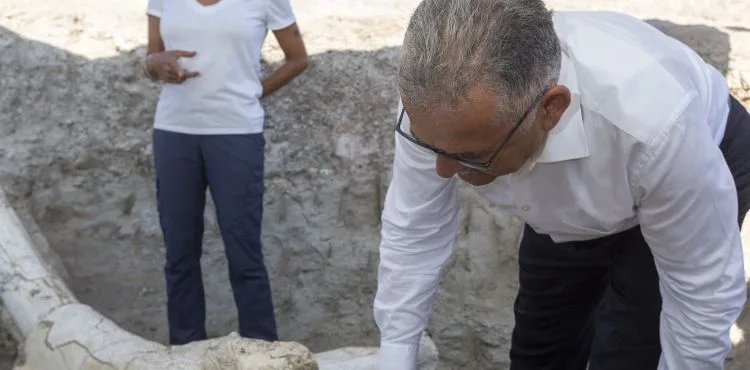 BÜYÜKŞEHİR’İN DESTEKLERİYLE DÜNYANIN İLGİSİNİ ÇEKEN FOSİL KAZI ÇALIŞMALARI BAŞLADI