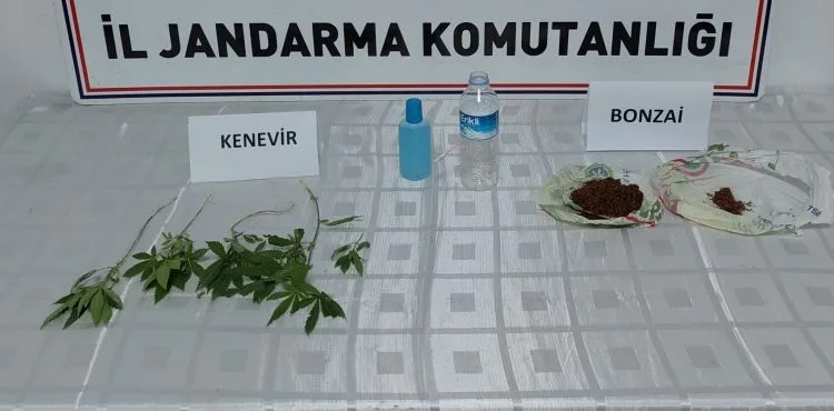 Jandarmadan uyuşturucu operasyonu: 4 gözaltı