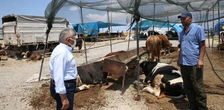 BÜYÜKŞEHİR KURBAN SATIŞ VE KESİM YERLERİNDE TÜM TEDBİRLERİ ALDI