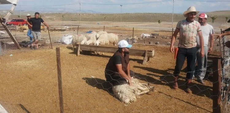 Bayramının son gününde satışlar devam etti