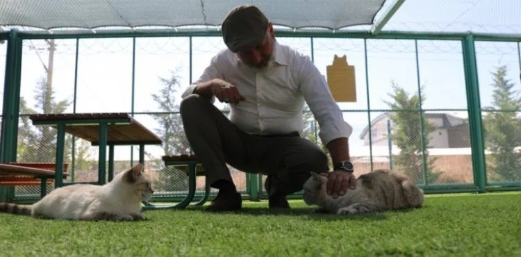 KAYSERİ’DE İLK OLAN ‘KÜÇÜK DOSTLAR KEDİ KASABASI’ ULUSLARARASI AJANSLARDA DA GÜNDEM OLUŞTURDU