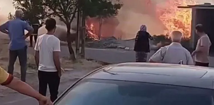 Eskişehir Bağları’nda çalılık alanda yangın çıktı