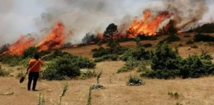 Sekidağı’nda korkutan yangın: söndürüldü