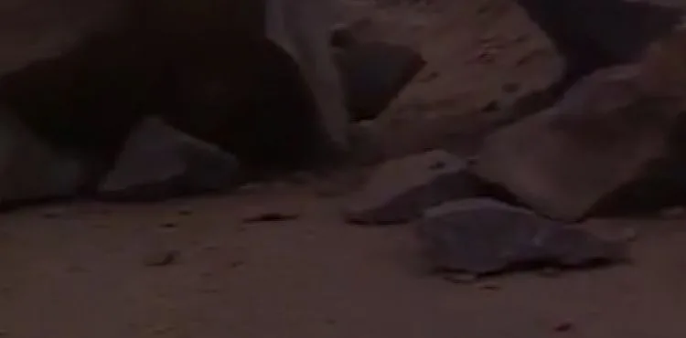 Kayalıktan düşen parçalar yolu kapattı