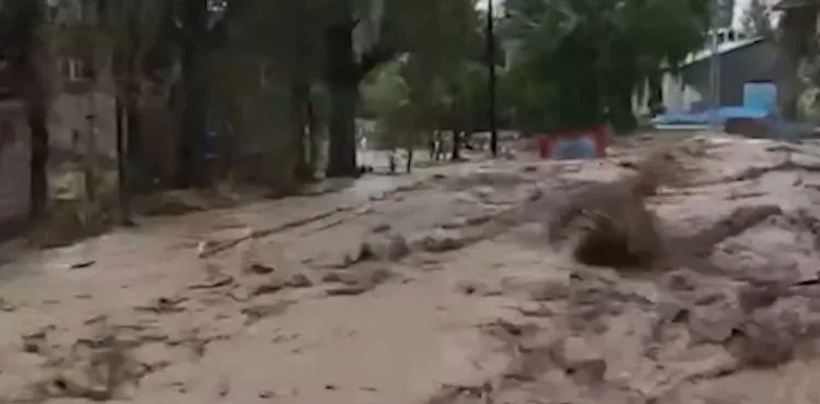 Sağanak yağış sele sebep oldu