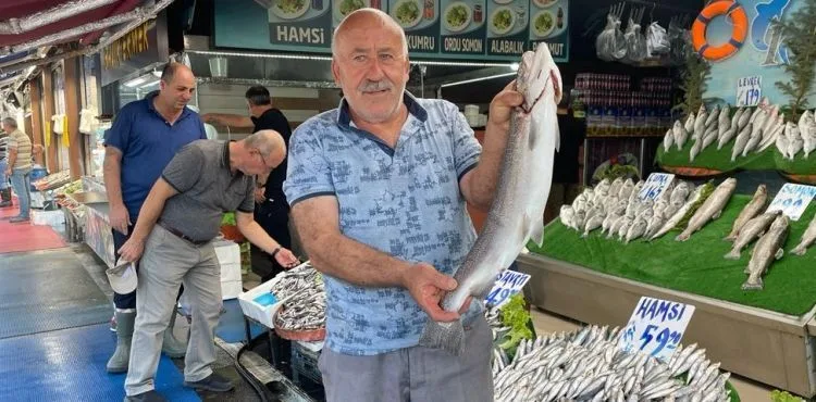 Balıkçılar ‘vira bismillah’ dedi, tezgahlar şenlendi