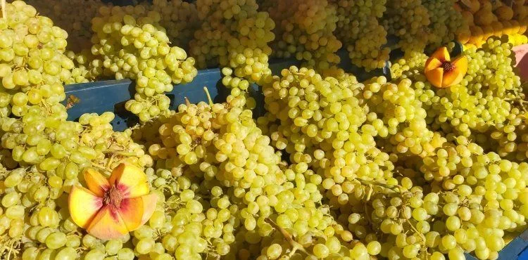 Kayseri semt pazarı fiyatları