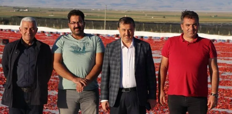 Yeşilhisar’da kurutulan domatesler yurt dışına ihraç ediliyor