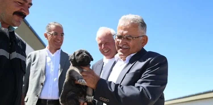 BAŞKAN BÜYÜKKILIÇ, YENİ VE MODERN KEDİ KÖPEK EVİ’NDE İNCELEMELERDE BULUNDU