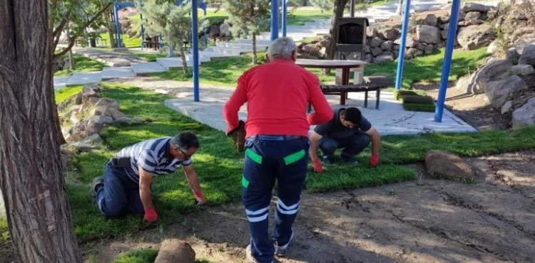BÜYÜKŞEHİR, SONBAHARDA 1 MİLYON ÇİÇEK DİKECEK