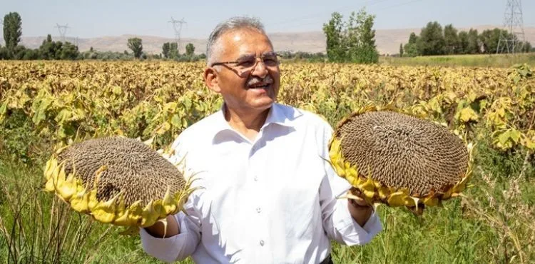 BÜYÜKŞEHİR’DEN AY ÇEKİRDEĞİ ÜRETİMİNDE İLK SIRADA OLAN KAYSERİ’YE 5 KURUTMA SAHASI