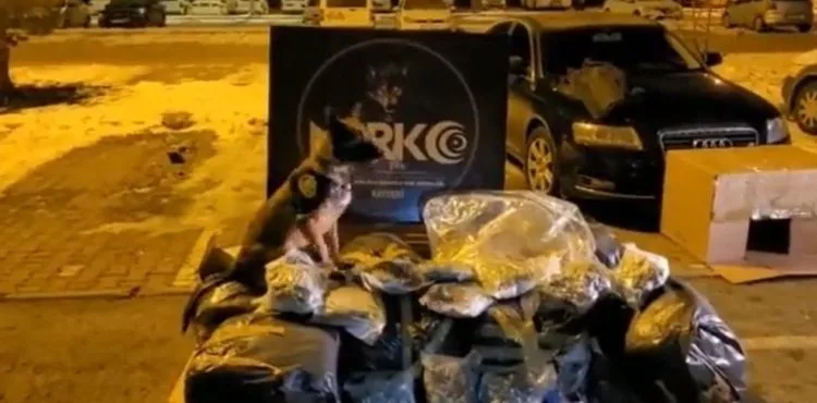 İçerisinde 116,5 kilo uyuşturucu bulunan TIR'da yakalanan şahıslar hakim karşısına çıktı
