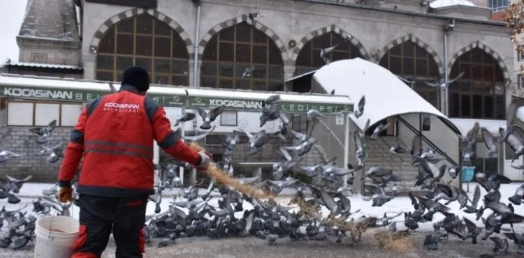 KOCASİNAN’DAN KIŞ MEVSİMİ BOYUNCA SOKAK VE YABAN HAYVANLARI İÇİN 18 TON YEM