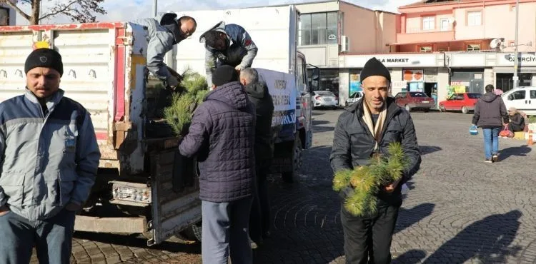 İncesu Belediyesi 5 bin çam fidanı dağıttı