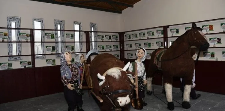 BÜYÜKŞEHİR’DEN DOĞAL ÜRETİM BAHÇESİ’NDE TOHUM BANKASI VE TARIM ALETLERİ ALANI