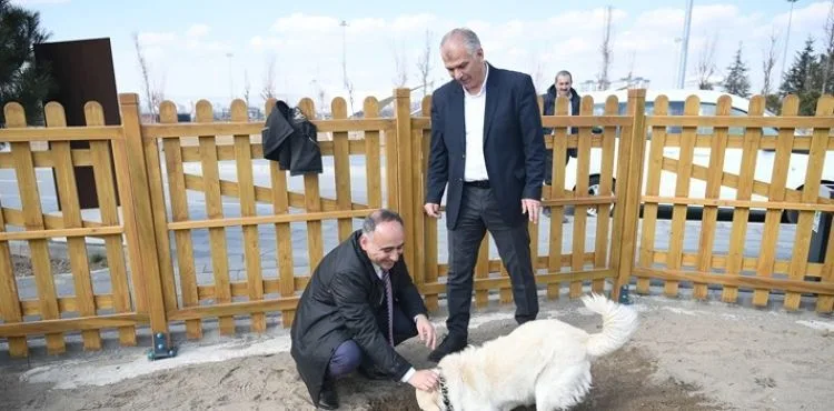 BÜYÜKŞEHİR’İN KÖPEK EĞİTİM PARKURU, MİLLET BAHÇESİ’NDE HİZMETE HAZIR