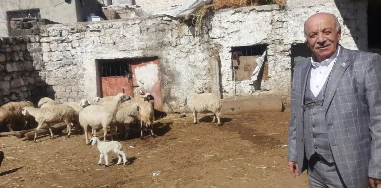 Hayvanları zehirlenerek telef olan besicilere yardım eli uzatıldı