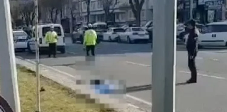 Karşıdan karşıya geçmeye çalışırken yaşamının yitirdi