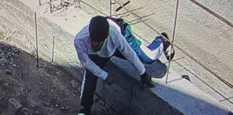 Testere hırsızlığı kamerada