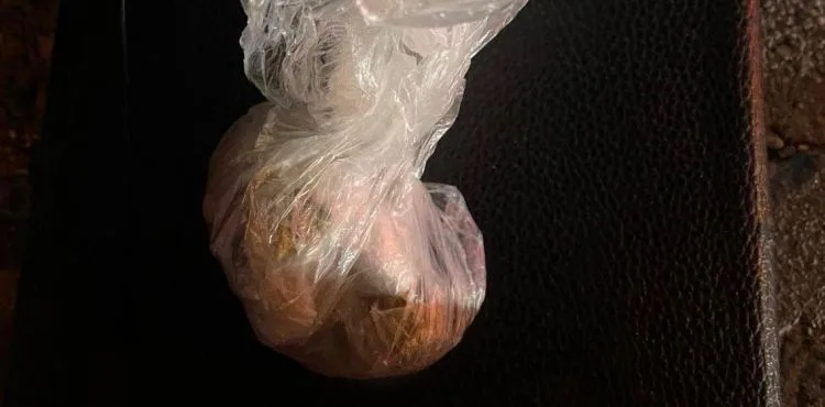 Durumundan şüphelenilerek durdurulan sürücü uyuşturucu madde ile yakalandı
