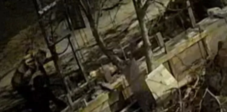 Elektrik kablosu hırsızlığı kameralara yansıdı