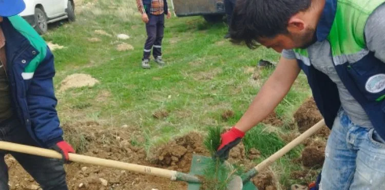 Büyükşehir’den Pınarbaşı’da Halka Dokunan Hizmetler