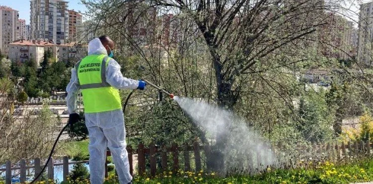 TALAS’TA SİNEK VE HAŞERATA ERKEN ÖNLEM
