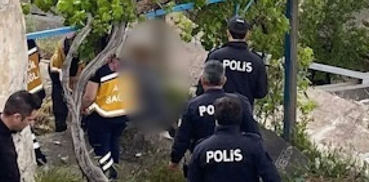 Asma ağacının altında yaşamına son verdi