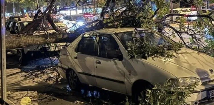 Şiddetli rüzgar ağaçları devirdi, çatılar uçtu