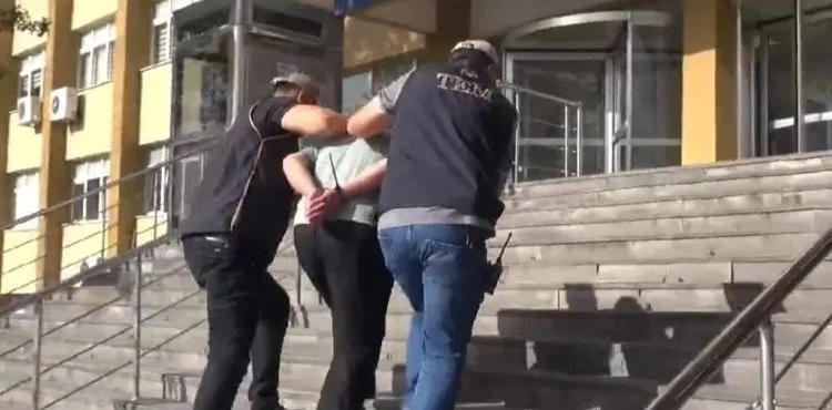 Terör örgütüne yönelik operasyonda 1 kişi yakalandı