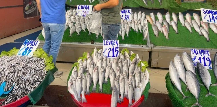 Balıkçılar yeni sezonda palamut bolluğu bekliyor