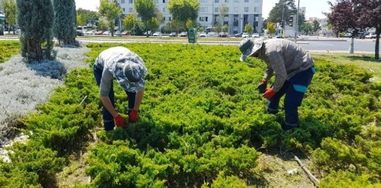 BÜYÜKŞEHİR, YABANCI OTLARLA MÜCADELE VE BAKIM ÇALIŞMALARINA HIZ VERDİ