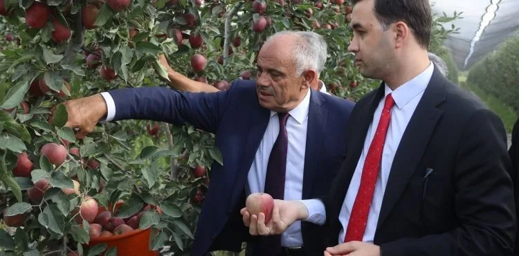 YAHYALI’DA ELMA HASADI BAŞLADI