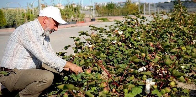 BAŞKAN ÇOLAKBAYRAKDAR, “TÜRKİYE’NİN EN KAPSAMLI FİDANLIĞIYLA KAYSERİ’MİZİN YEŞİL DOKUSUNU ÇEŞİTLENDİRİYORUZ”