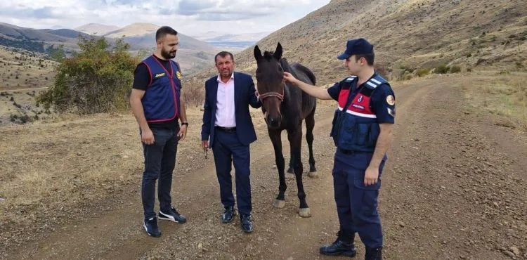 Sarız’da hırsızlık olayı: Çalınan yarış atı bulundu