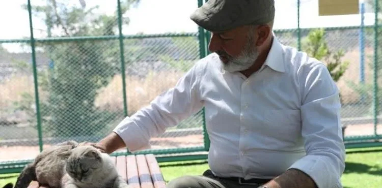 KAYSERİ’DE İLK OLAN ‘KÜÇÜK DOSTLAR KEDİ KASABASI’ ZİYARETÇİ AKININA UĞRUYOR