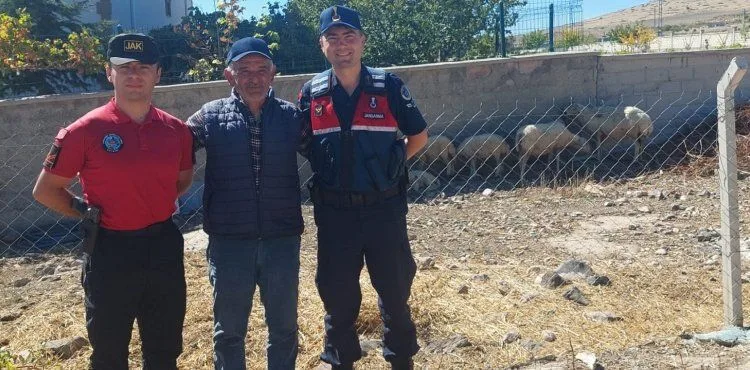 Jandarma ekipleri kaybolan koyun ve kuzuları sahibine teslim etti
