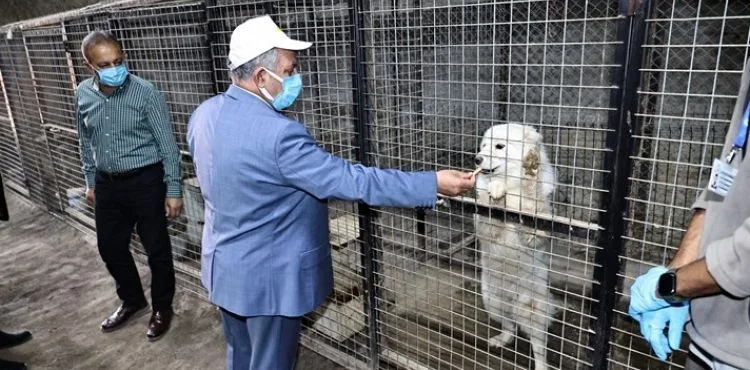 TALAS PATİ EVİ'NDE KAPSAMLI İŞBİRLİĞİ