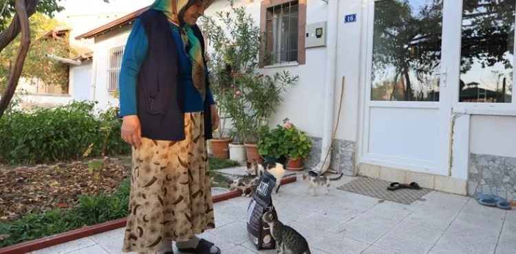 BÜYÜKŞEHİR, YAŞLI VATANDAŞIN KEDİLERİ İÇİN