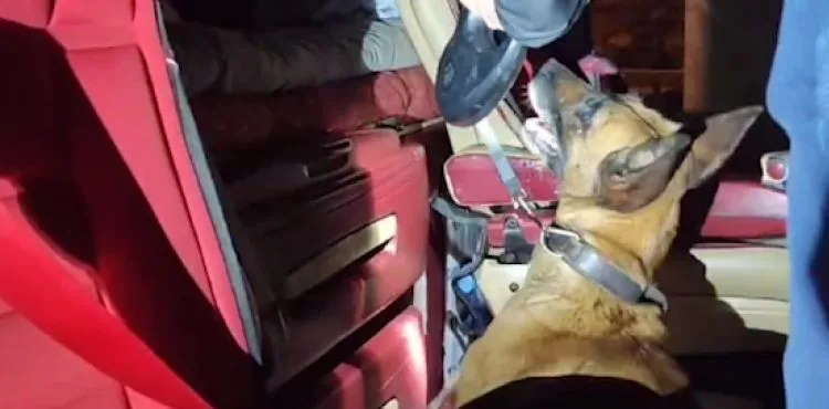 Uyuşturucu madde operasyonunda 1 gözaltı