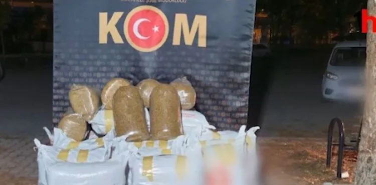 KOM Şube 655 kilogram kaçak tütün ele geçirdi