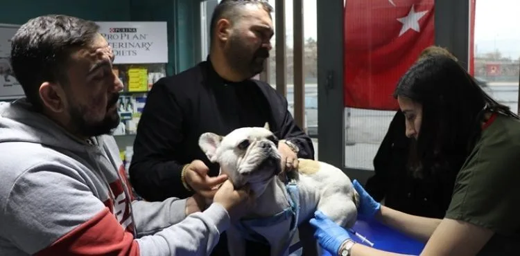 Kayseri’de köpeği aydınaltma direğine vuran şüpheli yakalandı