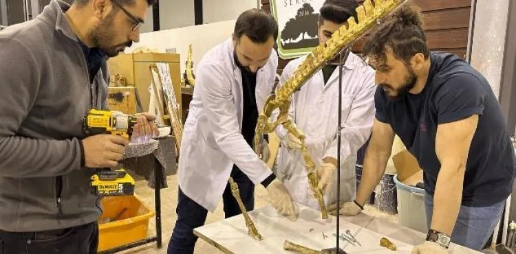 7,5 MİLYON YILLIK FOSİL KAZILARI, DÜNYA PALEONTOLOJİ TARİHİNE IŞIK TUTUYOR