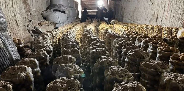 Kayadan oyma mağaralarda depolanan patatesler 5 ülkeye ihraç ediliyor