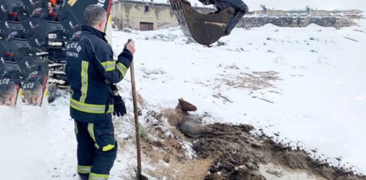 Kayseri OSB İtfaiyesi Bataklığa Saplanan Yılkı Atını Kurtardı