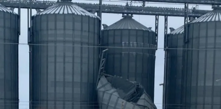 Silo çöktü, tonlarca buğday yere döküldü