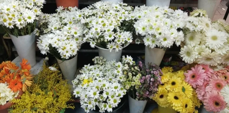 Kayseri'de çiçekçilerde '8 Mart' mesaisi