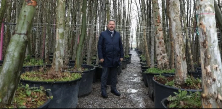 MELİKGAZİ DEV ÇINAR AĞAÇLARI İLE GELECEĞE EN BÜYÜK MİRASI BIRAKACAK