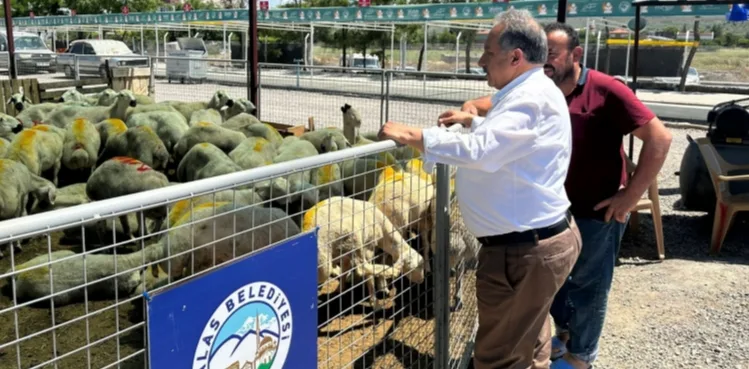 TALAS’TA KURBAN PAZARINA BAŞVURULAR BAŞLADI
