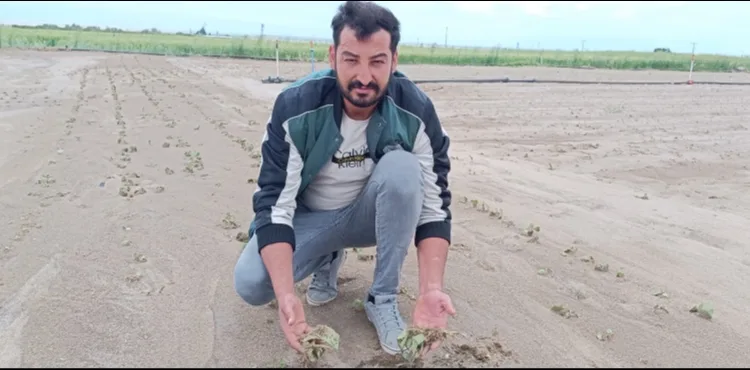 Kayseri'de sağanak ve dolu nedeniyle tarım arazileri zarar gördü